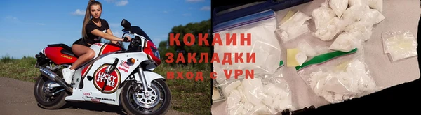 крисы Алзамай