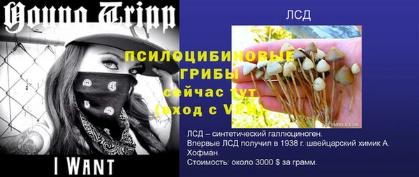 таблы Алексин