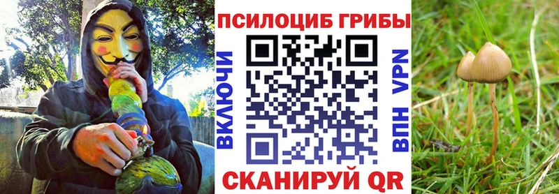 omg зеркало  Краснодар  Псилоцибиновые грибы Magic Shrooms  где найти наркотики 
